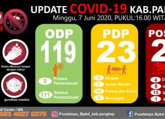 data covid-19 Pangkep