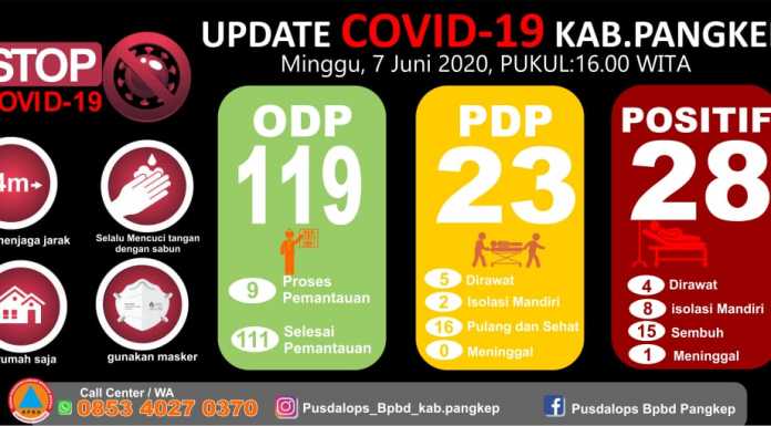 data covid-19 Pangkep