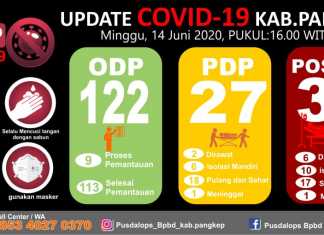Data Covid-19 Kabupaten Pangkep Sulawesi Selatan, Minggu 13 Juni 2020. (Pusdalops BPBD Kabupaten Pangkep).
