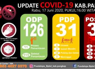 Data Covid-19 Kabupaten Pangkep Sulawesi Selatan, Rabu 17 Juni 2020. (Pusdalops BPBD Kabupaten Pangkep).