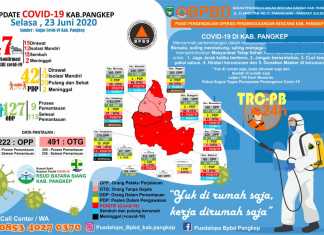 Grafis data Covid-19 Kabupaten Pangkep Sulawesi Selatan, Rabu 17 Juni 2020. (Pusdalops BPBD Kabupaten Pangkep).