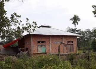 Ilustrasi [Doni/Serujambi.com]