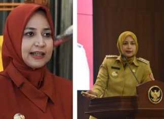 DPRD makzulkan Bupati Jember,Faida. (Beritajatim.com & instagram @pemkabjember)