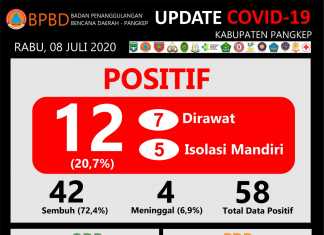 Grafis datGrafis data Covid-19 Kabupaten Pangkep Sulawesi Selatan, Rabu 8 Juji 2020. (Pusdalops BPBD Kabupaten Pangkep).a Covid-19 Kabupaten Pangkep Sulawesi Selatan, Sabtu 4 Juji 2020. (Pusdalops BPBD Kabupaten Pangkep).