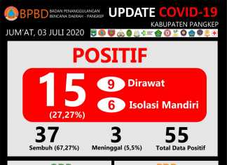 Grafis data Covid-19 Kabupaten Pangkep Sulawesi Selatan, Jumat 3 Juji 2020. (Pusdalops BPBD Kabupaten Pangkep).