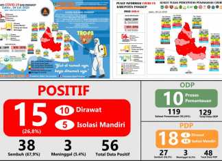 Grafis data Covid-19 Kabupaten Pangkep Sulawesi Selatan, Sabtu 4 Juji 2020. (Pusdalops BPBD Kabupaten Pangkep).