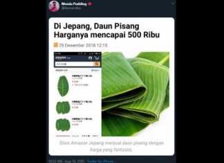 Harga daun pisang di Jepang. (Twitter/@fermendkis)