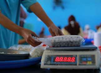 Ilustrasi UMKM (Humas ST).