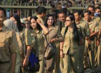 Illustrasi PNS (Ist).