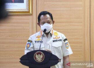 Mendagri Tito Karnavian (Foto: Antara)