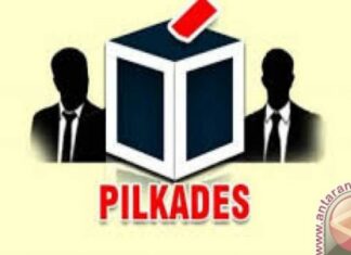 Ilustrasi Pilkades. [Antara]