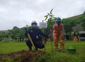 PT Semen Tonasa menggelar penanaman pohon disekitar lahan Raw Mill Tonasa V, Kecamatan Bungoro Kabupaten Pangkep, Sulsel, Jumat, 18 Desember 2020. (Humas ST).