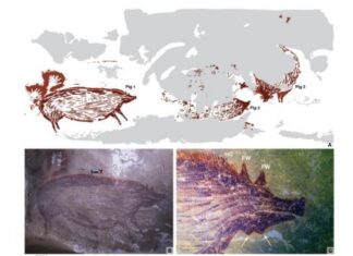 Lukisan gua tertua di dunia. [Sciencemag.org]