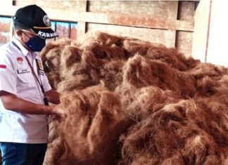 Sabut kelapa dieskpor ke Korea Selatan / [Foto Istimewa]