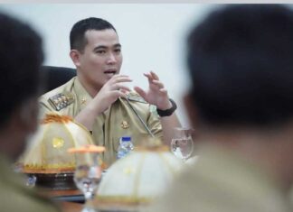 Bupati Pangkep Muhammad Yusran Lalogau (MYL)/(Ist).