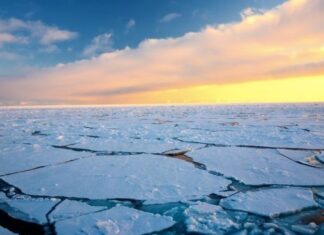 Dampak Pemanasan Global Terhadap Lingkungan. [Shutterstock]