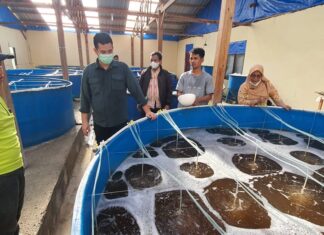 Bupati Kabupaten Pangkep Muhammad Yusran Lalogau (MYL) meninjau Pos�Kesehatan�Ikan�Terpadu (POSIKANDU), Gudang Rumput laut, dan Hatchery, di Labbakang dan Pulau Sabutung Kamis, 15 Juli 2021. (Ist)