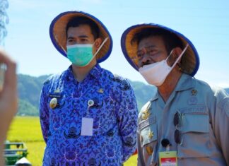 Menteri Pertanian Syahrul Yasin Limpo dan Bupati Kabupaten Pangkep Muhammad Yusran Lalogau (Pangkep.terkini.id).