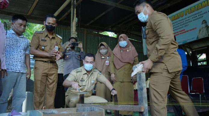 Bupati Pangkep Muhammad Yusran Lalogau (MYL) melakukan peletakan batu pertama pembangunan lumbung pangan masyarakat yang di biayai melalui dana alokasi khusus(DAK) fisik bidang pertanian dinas ketahanan pangan Kabupaten Pangkep.(Ist).