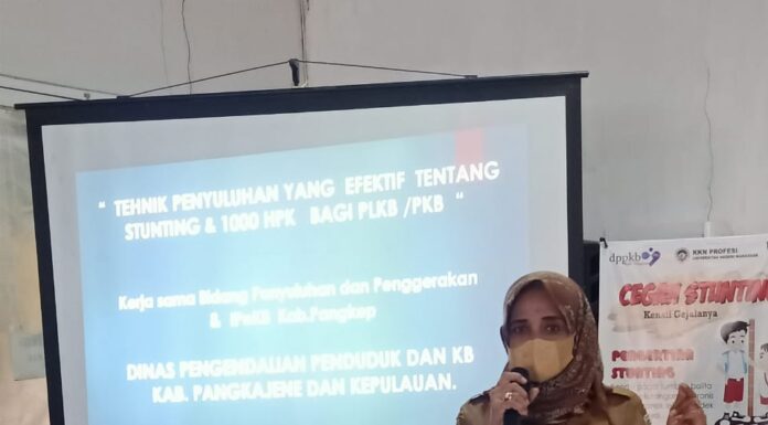 Dinas Pengendalian Penduduk dan KB Kabupaten Pangkajene dan  Kepulauan memberikan Pelatihan Tehnik Penyuluhan tentang Stunting dan 1000 HPK kepada PLKB / PKB.(Ist).