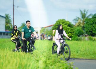 Gowes