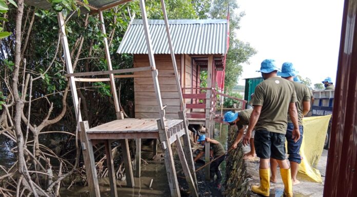PT Semen Tonasa Dukung Program G20 Dengan Menggelar Bersih-Bersih Pantai Semen Tonasa