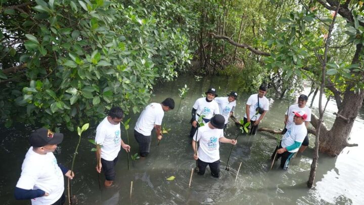 Semen Tonasa Peringati Hari Lingkungan Hidup Sedunia 2023 dengan Penanaman Mangrove Mangrove