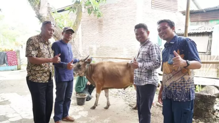 Semen Tonasa